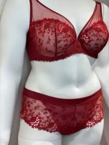 A sheer red lingerie set displayed on a mannequin, featuring a bra and matching panties with intricate red and white floral embroidery. The bra has supportive underwire cups with delicate lace trim, while the high-waisted panties are adorned with matching floral lace at the edges, creating an elegant, coordinated look.